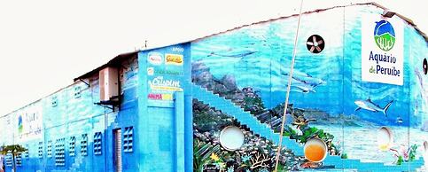 Pousada 455 - Hostel