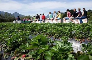African Sun Guest House