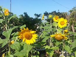 B&B Il Girasole