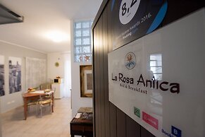 La Rosa Antica
