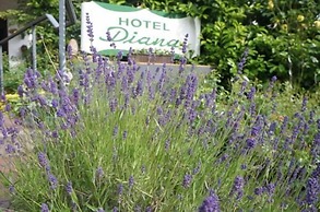 Hotel Diana