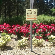 Adam's Farm