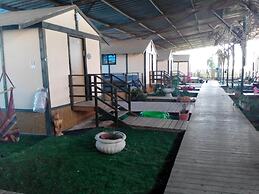 Adam's Farm