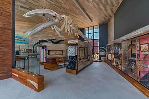 Solaz, A Luxury Collection Resort, Los Cabos a Marriott Hotel