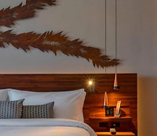 Solaz, A Luxury Collection Resort, Los Cabos a Marriott Hotel