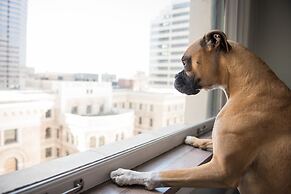 Solaz, A Luxury Collection Resort, Los Cabos a Marriott Hotel