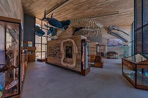 Solaz, A Luxury Collection Resort, Los Cabos a Marriott Hotel