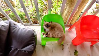 Patty's Secret Garden