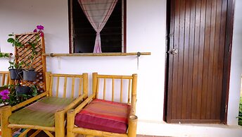 Patty's Secret Garden