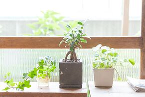 Tokyo Hikari Guesthouse - Hostel