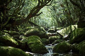 samana hotel Yakushima