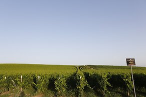 Agriturismo Poggio al Tufo