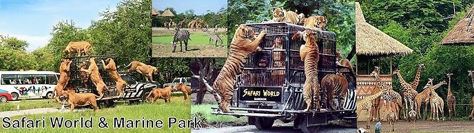 ZZZ Hostel - Don Mueang Airport