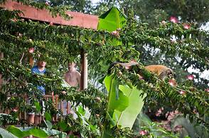 Villas Nicolás - Adults Only