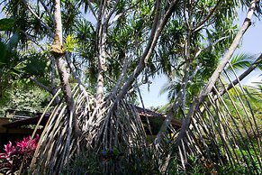 Villas Nicolás - Adults Only