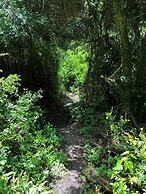 Alma Patagonia Lodge