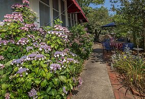 Antoinette's Apartments & Suites