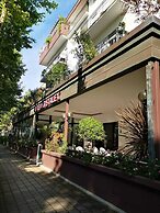 Kristalex Pet Family Hotel