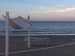 Kristalex Pet Family Hotel