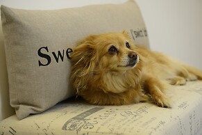 Vaticano Charming Rooms