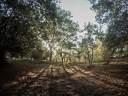 Apsaras Resort Sigiriya