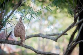 Apsaras Resort Sigiriya