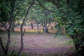Apsaras Resort Sigiriya
