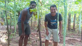 Araliya Self Cooking Resort Dambulla