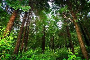 Jeju TS Youthhostel Resort