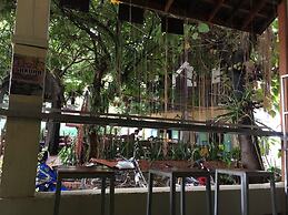 Y Not Laos Hostel