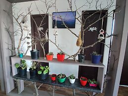 Casa Dream The Resort