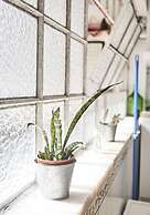 Two Bedroom Self Contained House