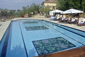 Agriturismo La Limonaia