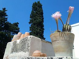 B&B Masseria delle rose 1760