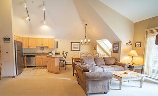 Buffalo Lodge 8419 by SummitCove Vacation Lodging