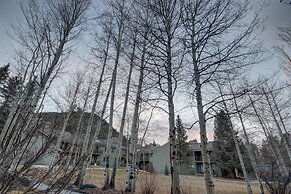 Flying Dutchman 1164 by SummitCove Vacation Lodging