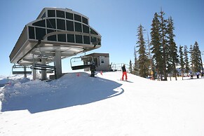 Buffalo Lodge 8412 by SummitCove Vacation Lodging