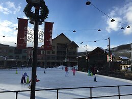 Buffalo Lodge 8412 by SummitCove Vacation Lodging