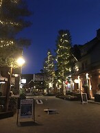 Buffalo Lodge 8412 by SummitCove Vacation Lodging