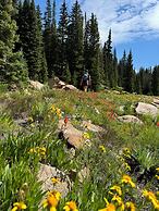 Hidden River Lodge 5995