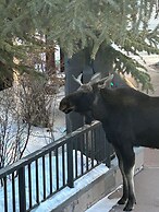 Tenderfoot Lodge 2613