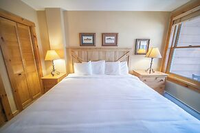Buffalo Lodge 8320 by SummitCove Vacation Lodging