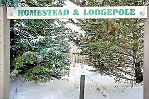 Homestead 2031 by SummitCove Vacation Lodging