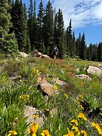 Lone Eagle 3034 by SummitCove Vacation Lodging