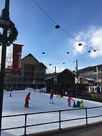 Dakota Lodge 8455 by SummitCove Vacation Lodging