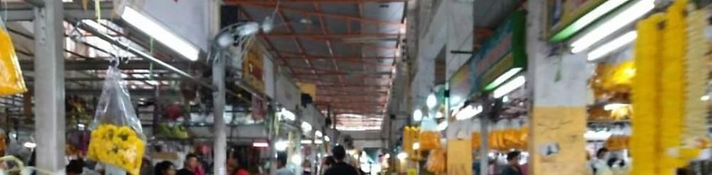 Natcha Place Rangsit Donmuang