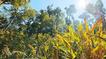 Shola Crown Resort - Munnar