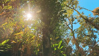 Shola Crown Resort - Munnar