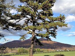 Montfair Resort Farm