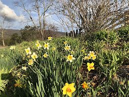 Montfair Resort Farm